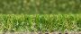 28mm Artificial Grass - Barking - 2m x 5m