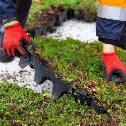 Green Roofs - Installation & Maintenance